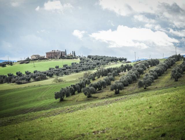 Strade Bianche Bidong Fietstransport Fietsvakantie