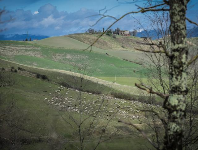 Strade Bianche Bidong Fietstransport Fietsvakantie