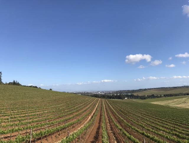 Bidong Zuid Afrika fietsvakantie
