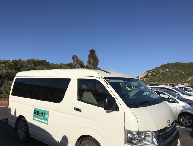 Bidong Zuid Afrika fietsvakantie