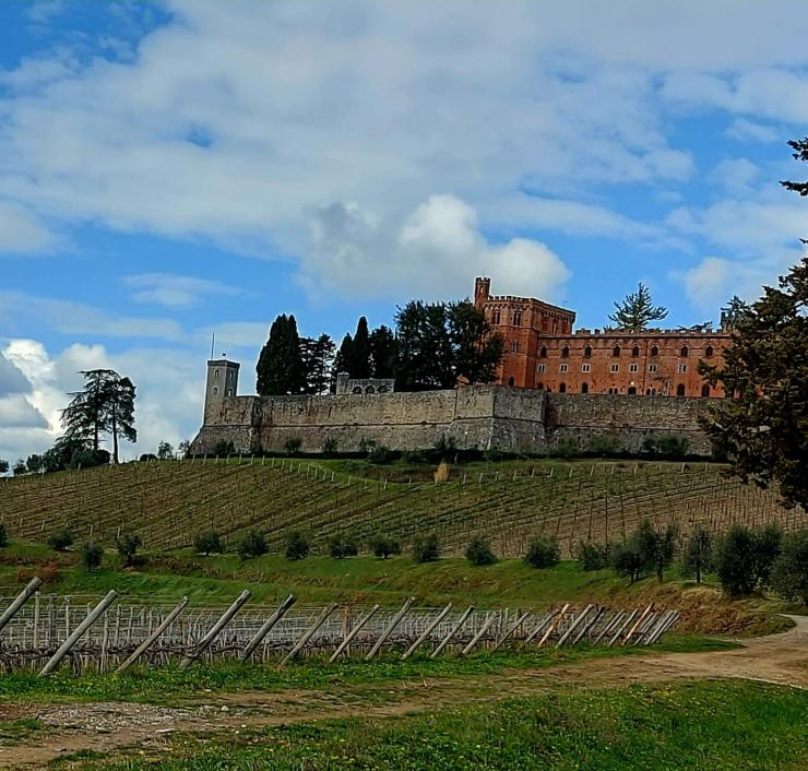 Toscane-Siena-Strade Bianchi-Bidong-Fietstransport