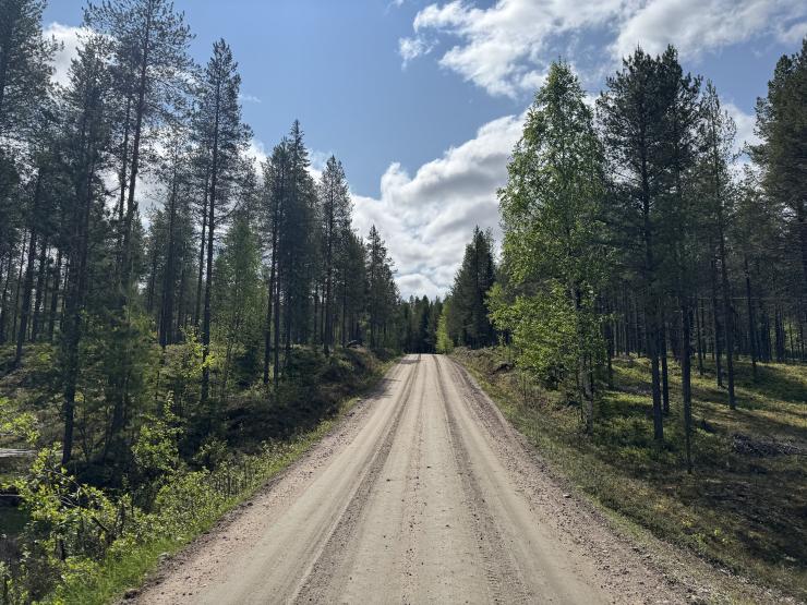 Gravel Lapland Finland Bidong 