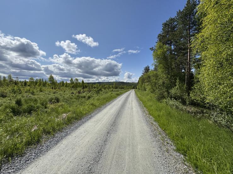 Gravel Lapland Finland Bidong